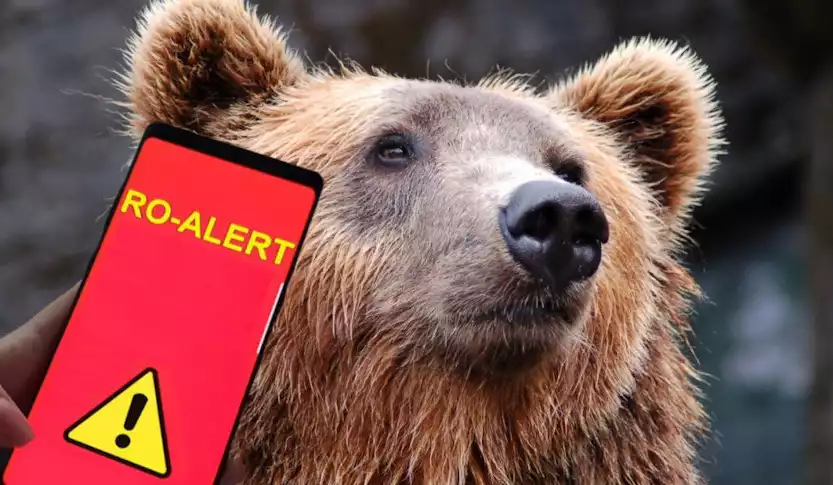 Trei alerte Ro-Alert în Vâlcea în ultimele zile