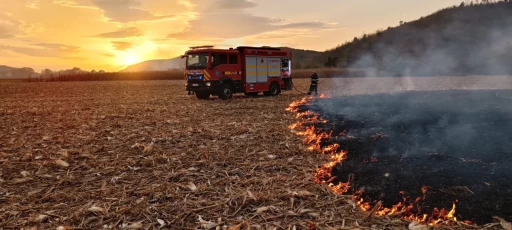 9 Focare de Vegetație Uscată în 48 de Ore, Pompierii În Alertă Maximă