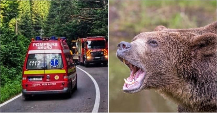  mușcături la mână și abdomen în încercarea de a hrăni animalul, lângă Hotelul Posada, Arefu, Argeș.