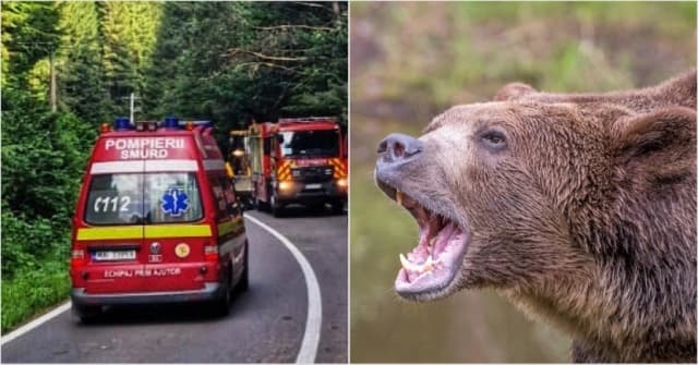  mușcături la mână și abdomen în încercarea de a hrăni animalul, lângă Hotelul Posada, Arefu, Argeș.