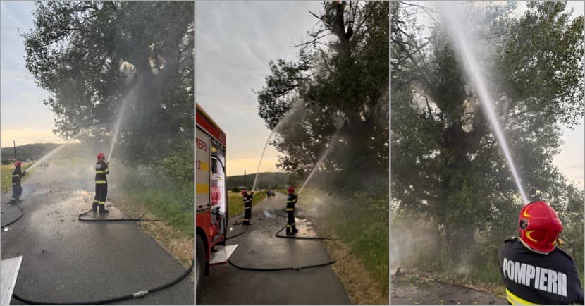 FOTO. Vânt puternic și fulgere au doborât arbori în sudul Vâlcii - Intervenții după furtuna verii