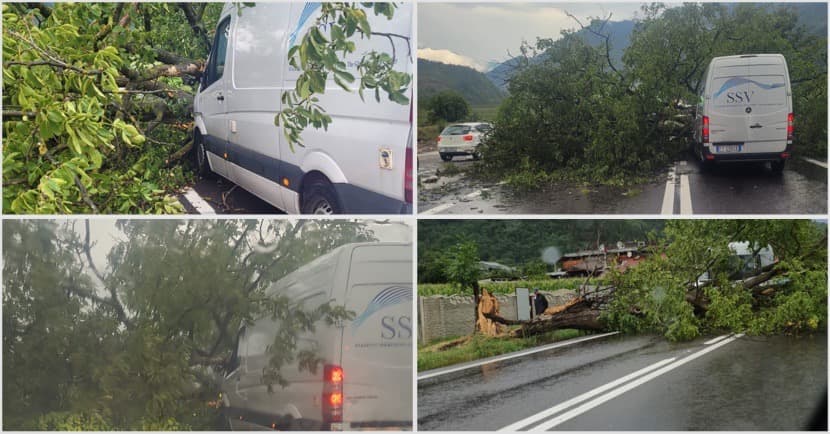 Un copac căzut blochează parțial Drumul Național 7 în proximitatea localității...