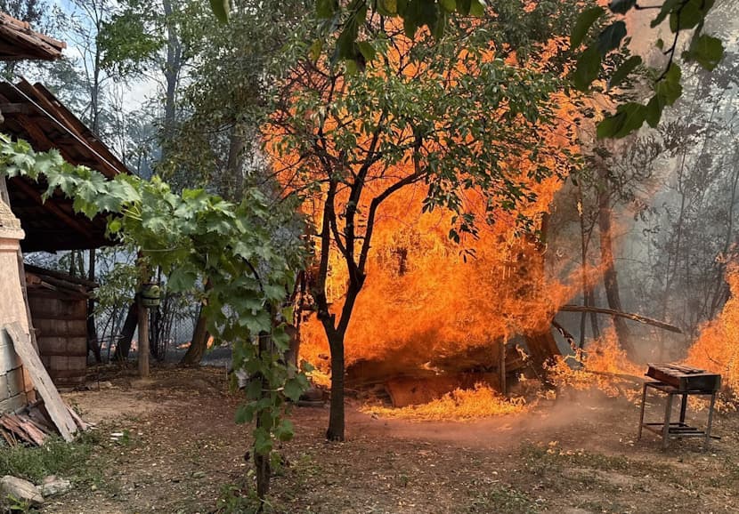 case distruse și sute de hectare pârjolite în ultimele zile...