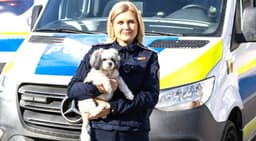  Amenzi Emise pentru Încălcări ale Legii Bunăstării Animale.