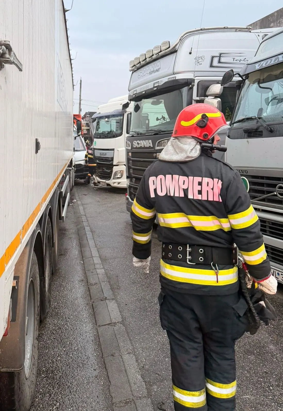 44 de misiuni ale pompierilor vâlceni și Ro-Alert pentru urs la Stoenești