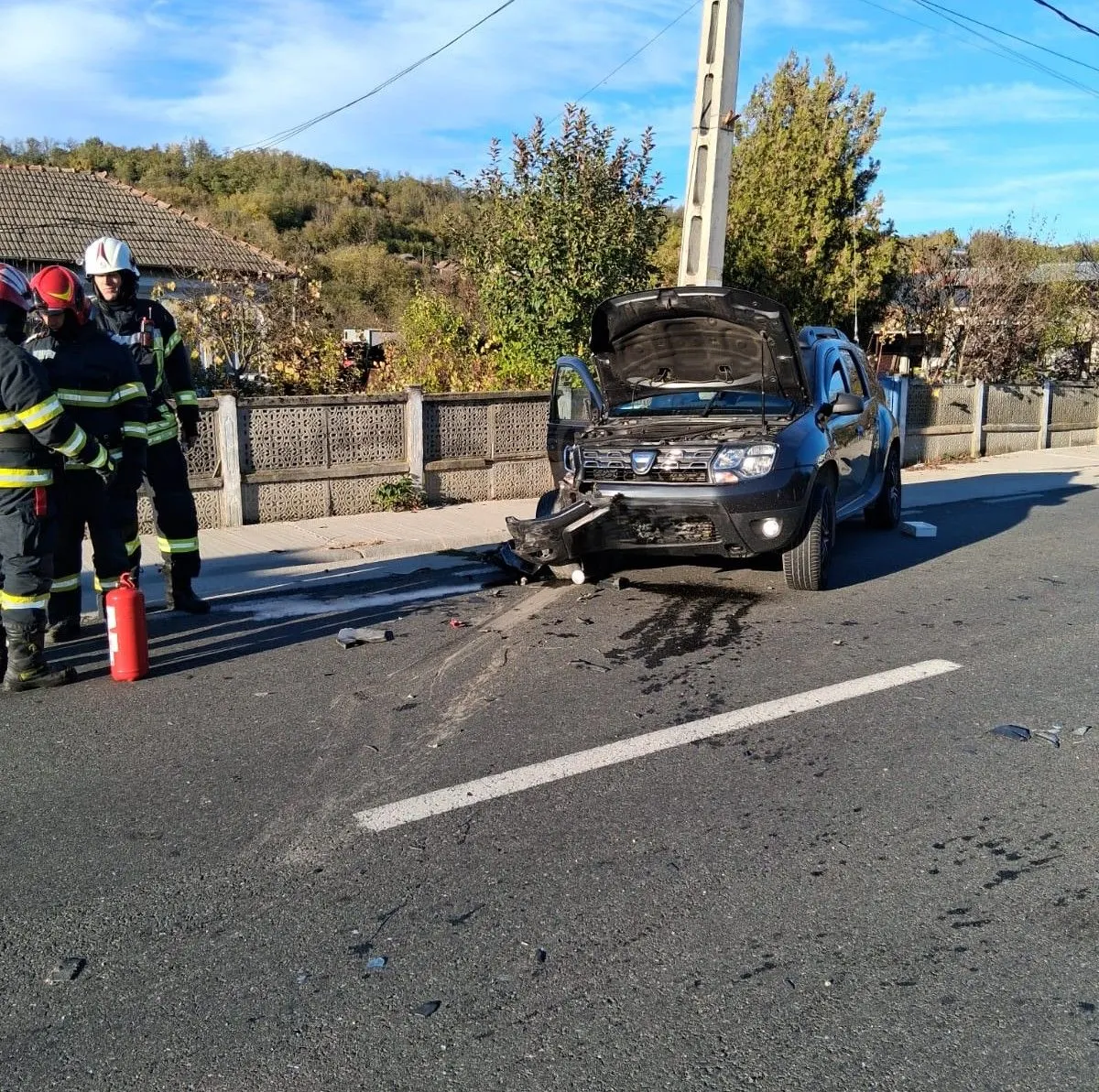65 de misiuni în 72 de ore: vegetație la Drăgășani și Ionești, Ro-Alert urs la Bărbătești