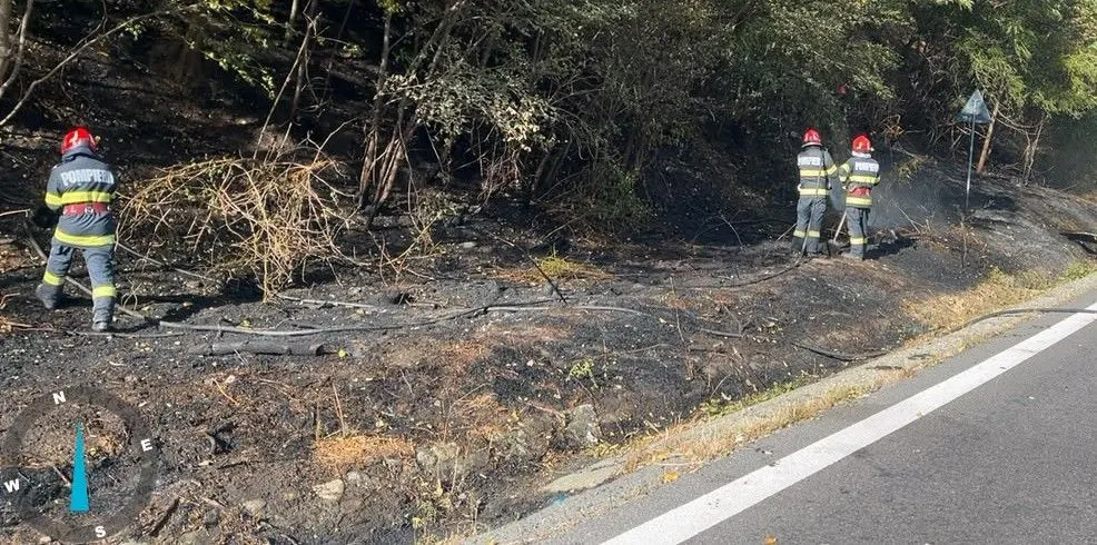 Vâlcea: 77 de misiuni în 48 de ore, 19 incendii de vegetație pe ~41 ha
